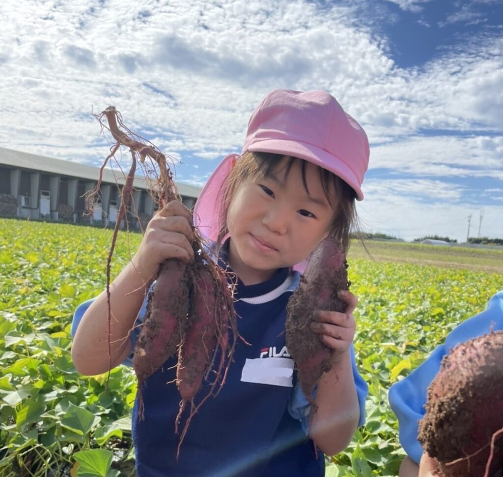 さつまいも掘り遠足