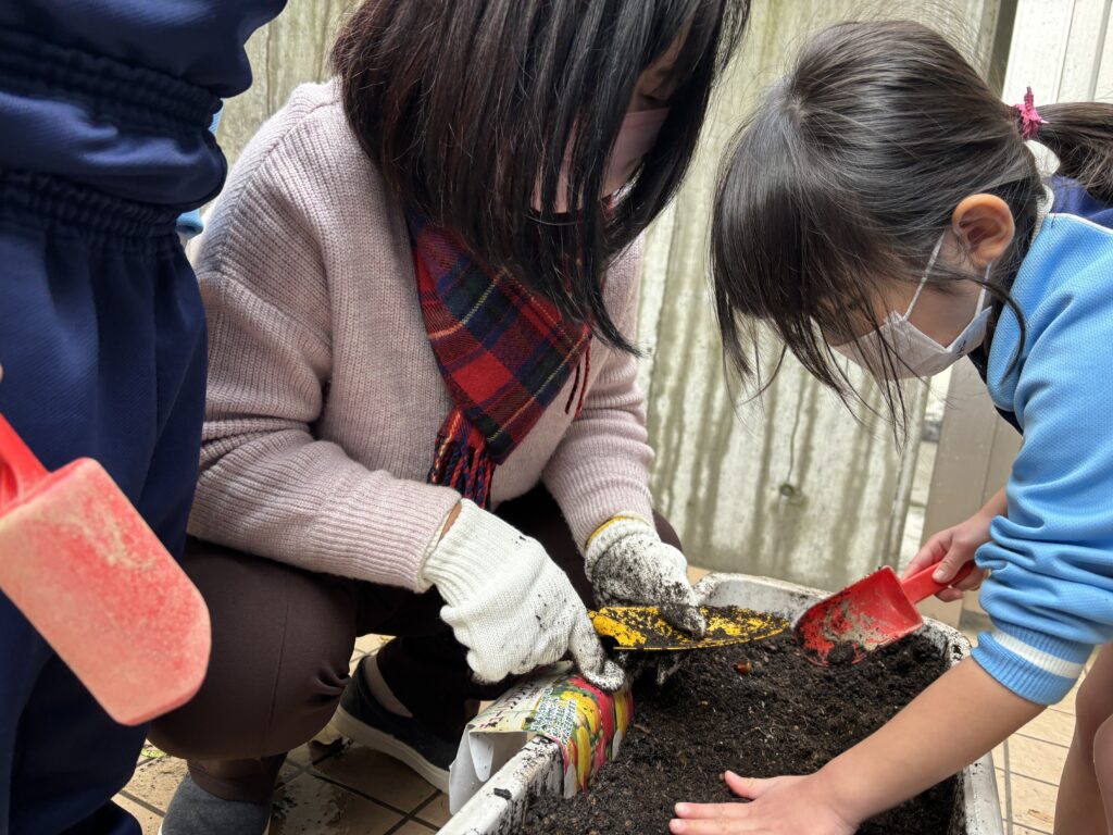 🎍チューリップさん、カニさん、大根さん来年も元気でね🎍